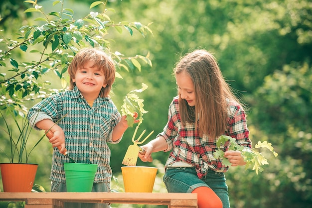 Brother and sister grows flowers together planting flowers childchood and outdoor leisure concept