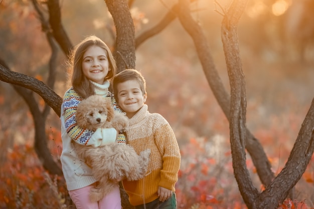 Brother and sister stand in the forest with a pet in the rays of sunset in autumn