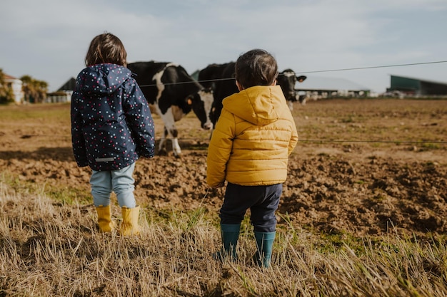 Brother and sister watching cows