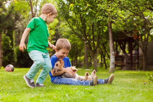 兄弟はあなたの好きな犬と庭で遊ぶ