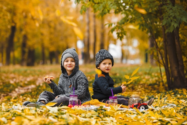 Братья сидят на пледе в парке осенью