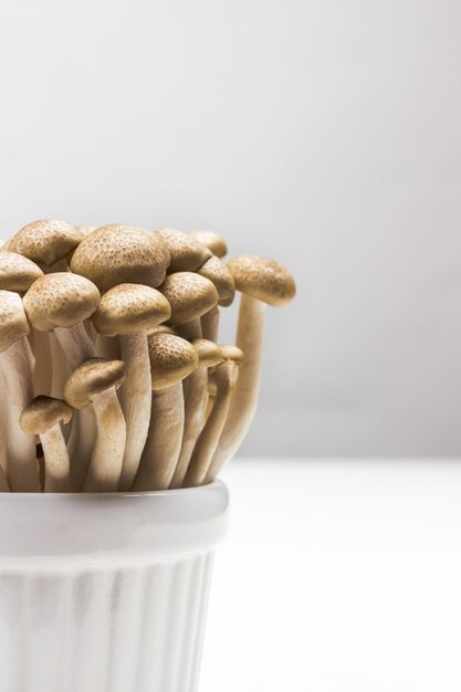 Photo broun shimeji mushrooms close up