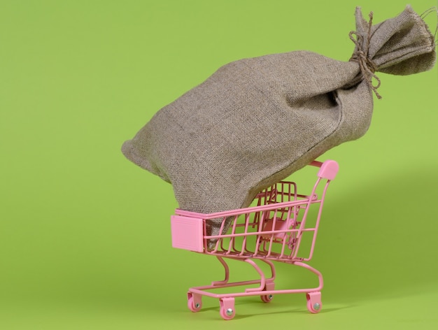 Brown bag in a miniature little shopping cart on a green background. Wealth, budget planning, expenses and income concept