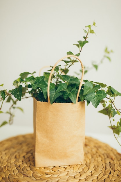 Photo brown and beige paper shopping bag with ivy plant in modern bright room