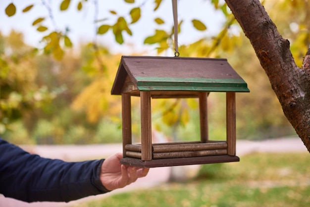 Brown bird feeder hanging on tree branch with yellow leaves autumn landscape selective focus