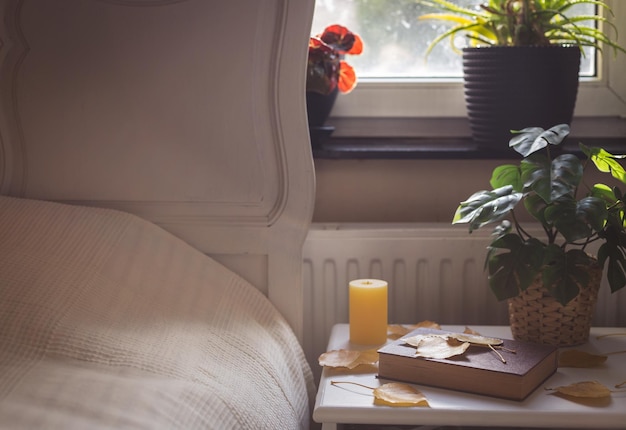 Brown book autumn leaves yellow candle and manster flower in a wicker pot on abedside table