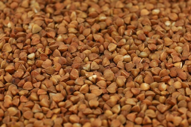 Brown buckwheat groats closeup