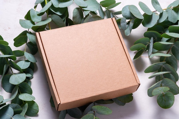 Brown cardboard carton box decorated with Eucalyptus green branch