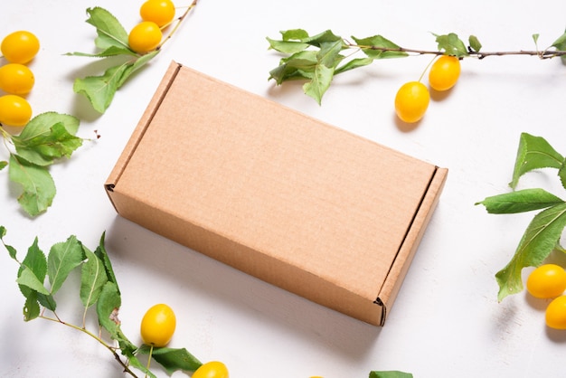 Brown Cardboard Carton box with fresh green leaves