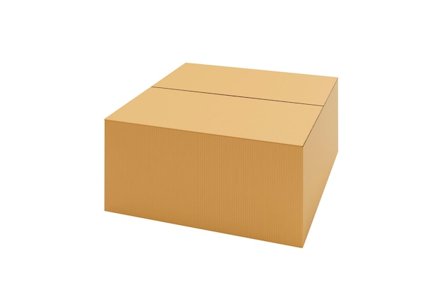 Brown Cardboard paper box isolated on white background