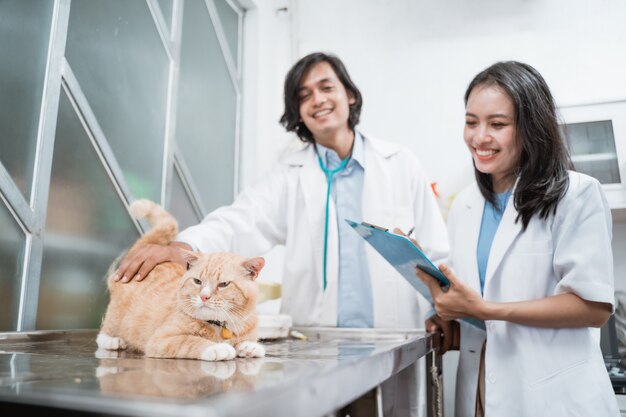 Brown cat sitting at a table is observed by a female doctor carrying a clipboard