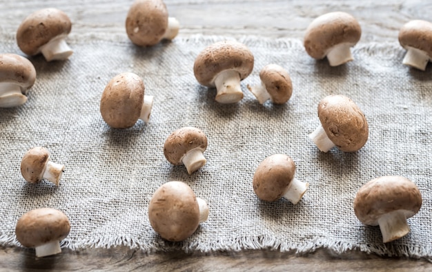 Brown champignon mushrooms on the canvas