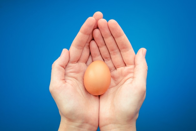 Brown chicken egg in hands