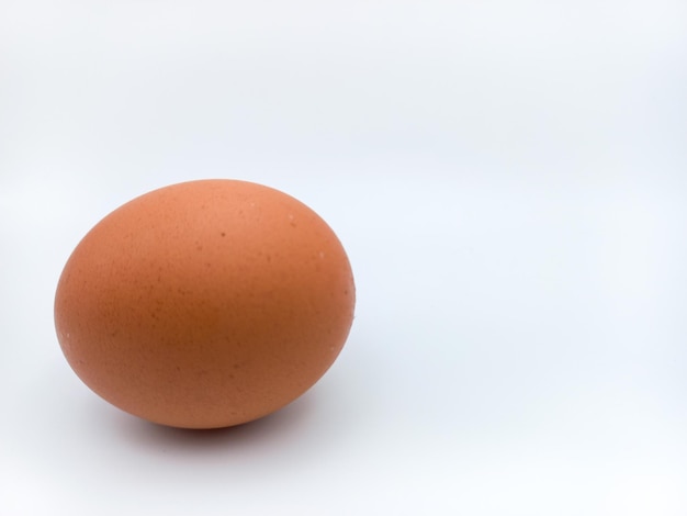 부정적인 공간을 가진 흰색 배경에 고립 된 위치를 누워 갈색 닭고기 달걀