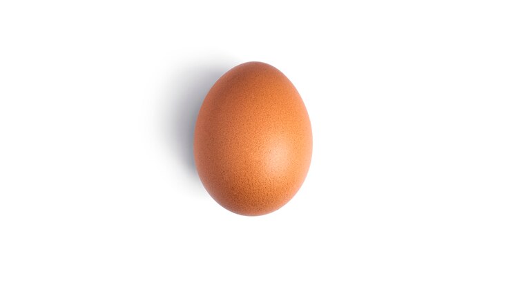 Photo brown chicken egg.
