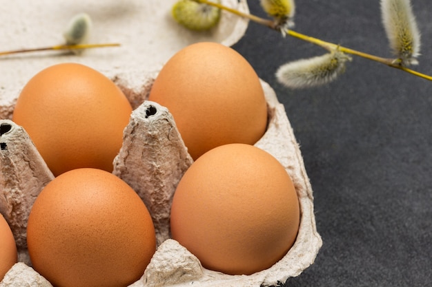 Brown chicken eggs in carton container. Twigs with fluffy buds. Close up. Top view