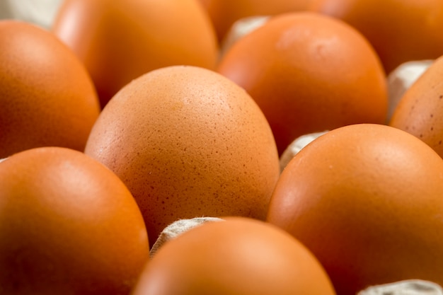 Brown chicken eggs close-up in the tray