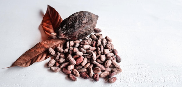 Brown cocoa beans brown cocoa pods and dry cacao fruit with leaves on a wooden white background