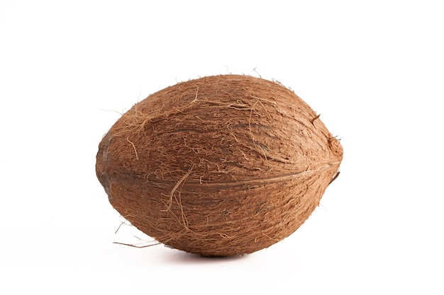 Brown coconut isolated on white background, close-up