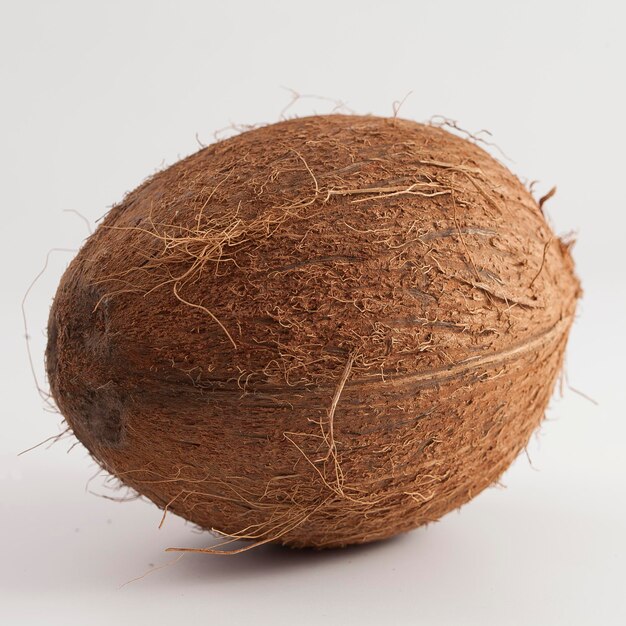 Brown coconut isolated on white background, close-up