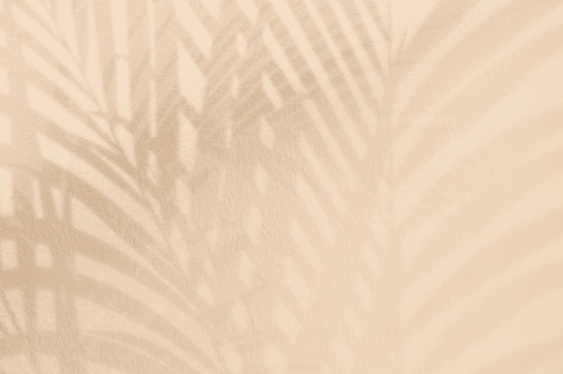 Brown color background with palm tree