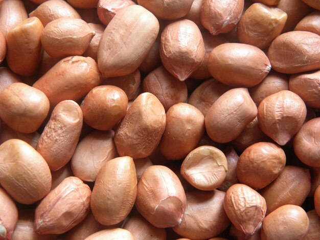 Brown color dry raw peanuts