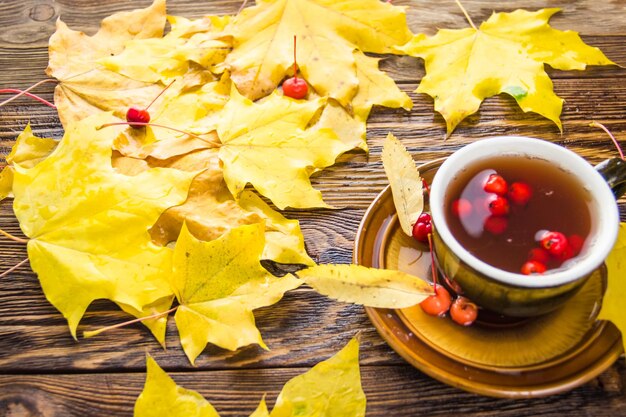 Brown cup of tea decorated with ash leaves and red berries