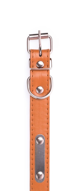 A brown dog collar isolated on a white background