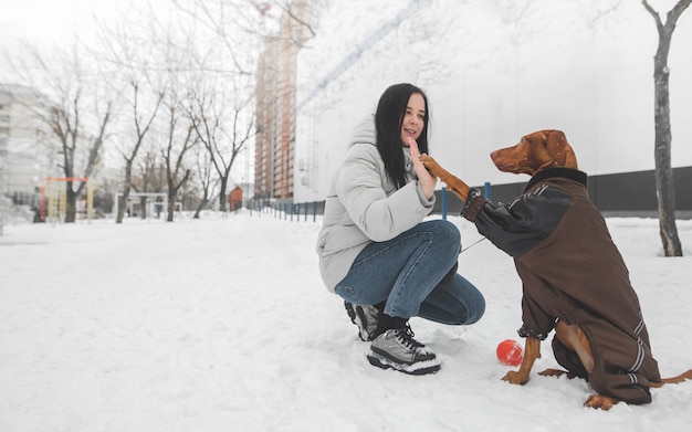 Brown dog wearing a dress and a happy girl sitting in the snow in the winter and playing