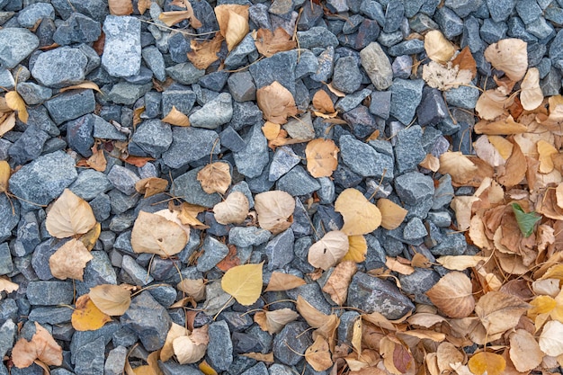 Brown dried fall leaves on stones and Gravel