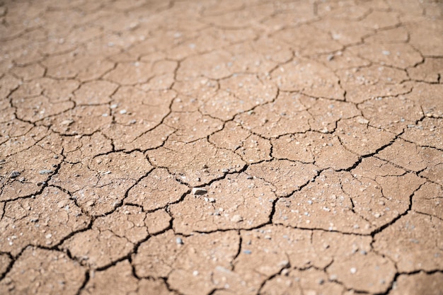 Brown dry ground with cracks