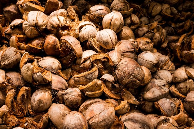 Brown dry husk of coconut peel.