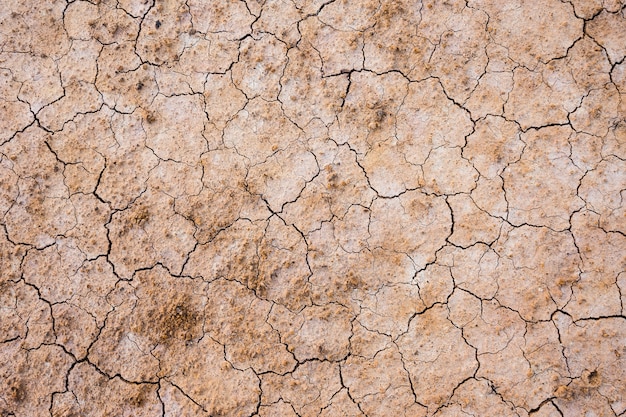 Photo brown dry soil or cracked ground texture background.