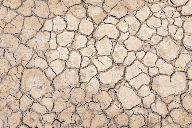 Brown dry soil or cracked ground texture background.