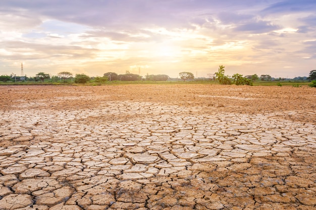 Brown dry soil or cracked ground texture