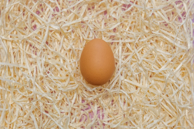 Brown egg laying on the straw