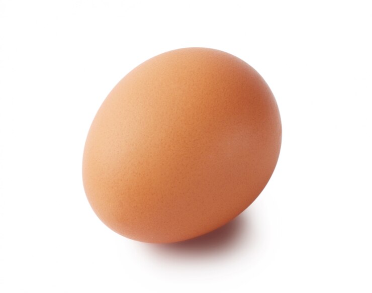Photo brown egg