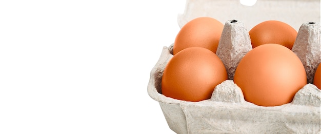 골판지 상자에 갈색 계란. 흰색에 격리.