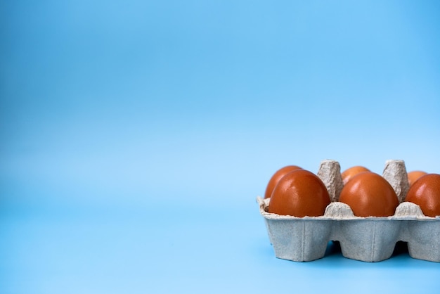 brown eggs in a tray on a blue background space for text