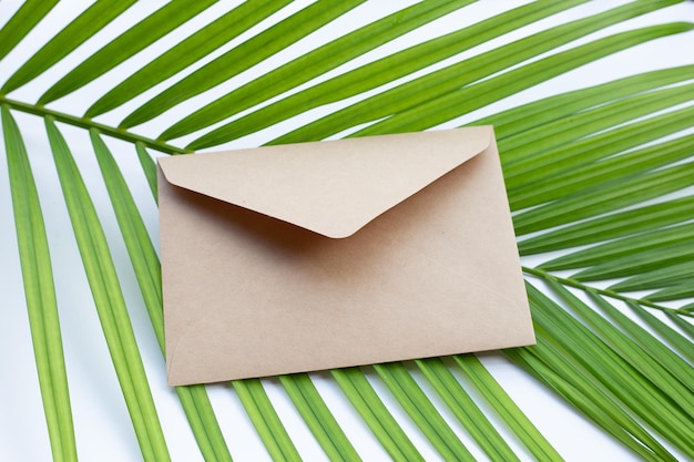 Коричневые конверты на пальмовых листьях