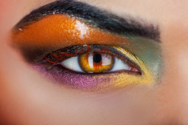 Brown eye of woman with make up in studio