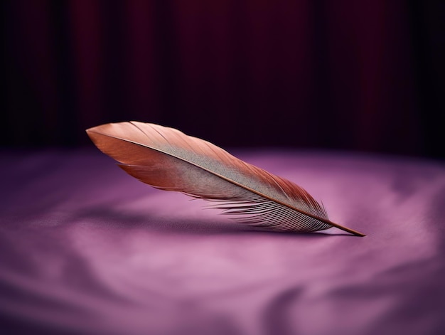 A brown feather on a purple surface