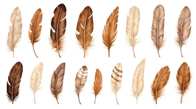 Brown Feathers Collection on White Background AI Generated