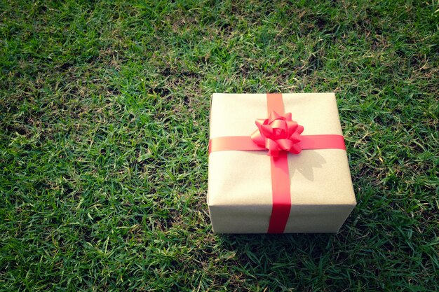 Brown Gift box on the green lawn for Christmas.