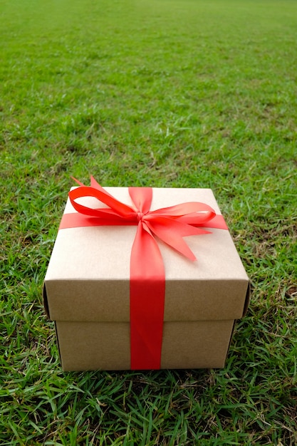 Brown Gift box on the green lawn for Christmas.