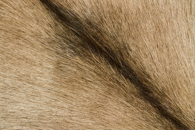 brown goatskin detail