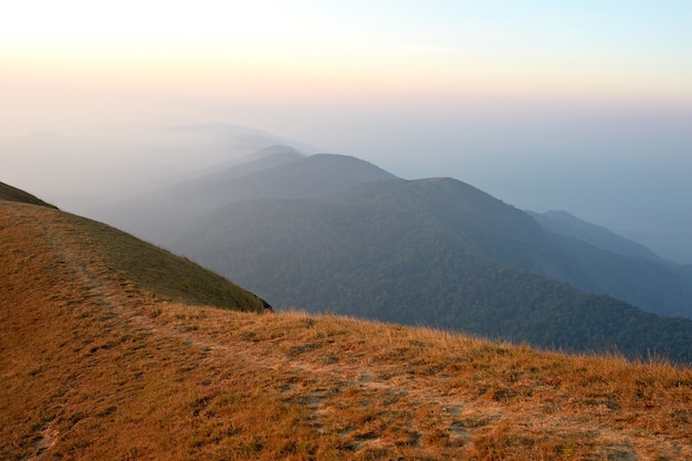 Brown grassland on the valley of Thailand