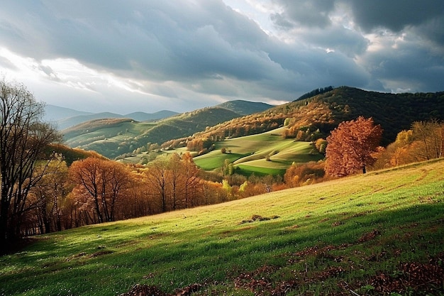 Brown and green field near mountain