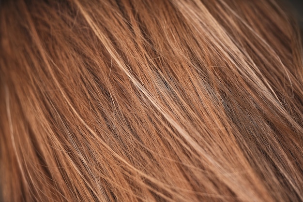 Brown hair macro