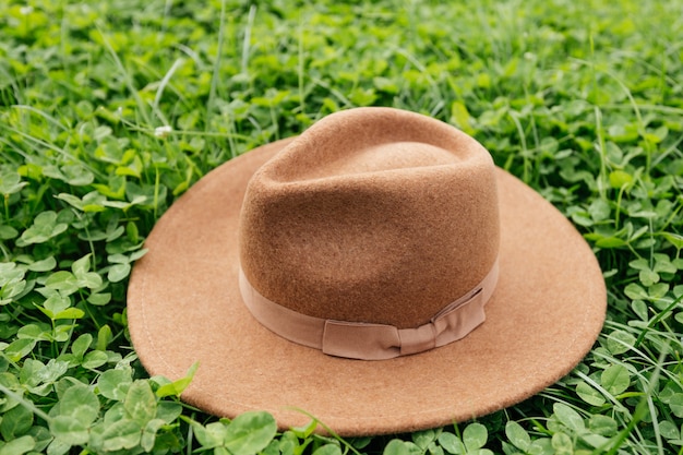 Фото Коричневая шляпа на зеленой траве, клевер на лугу весной